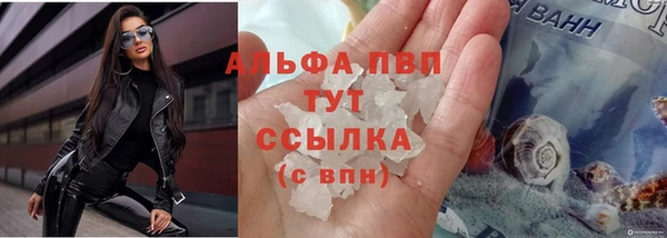 мяу мяу мука Горняк