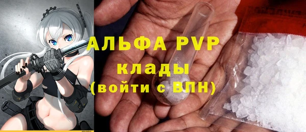 СК Горнозаводск